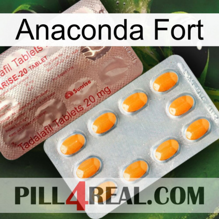 Anaconda Strong new13